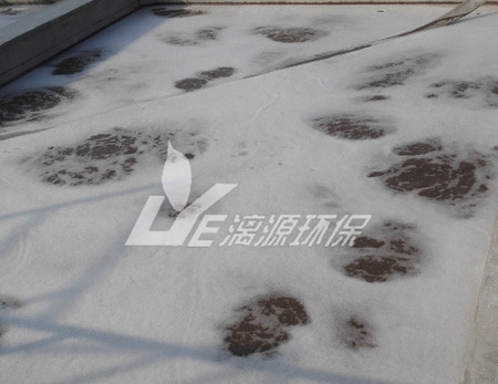 你的氣浮效果為什么不好？有著幾種影響因素！