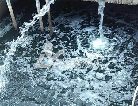 松香廢水處理技術(shù)，可以快速達(dá)標(biāo)